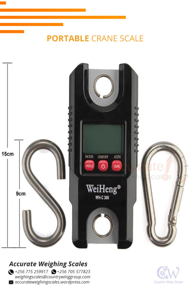 digital crane scales