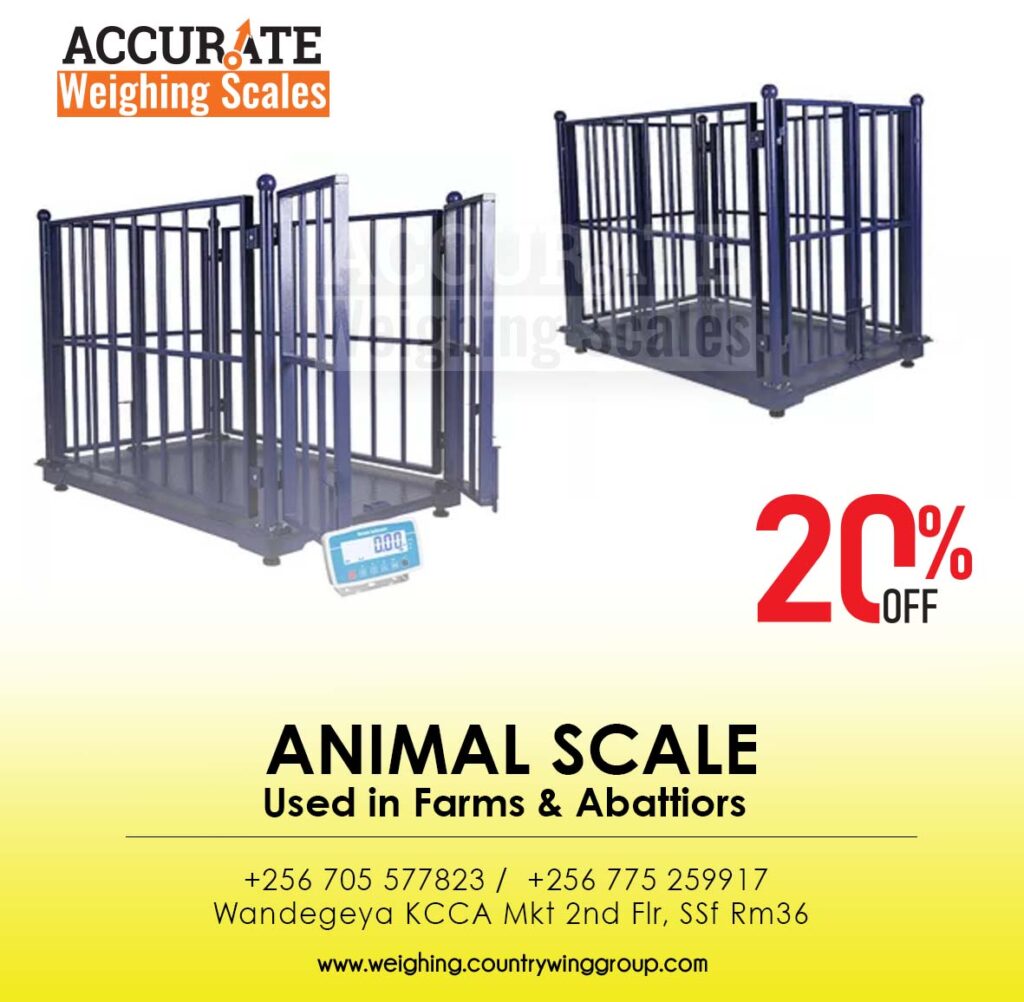 livestock animal weighing scale